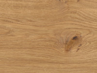 Vorschau:  Vorschau: