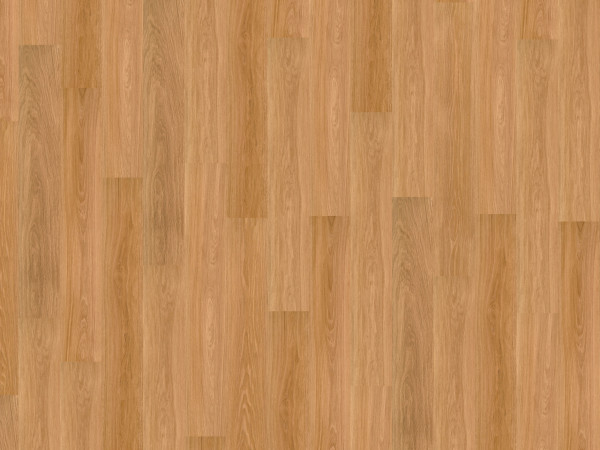 Korkboden Wood Go Haven OAK