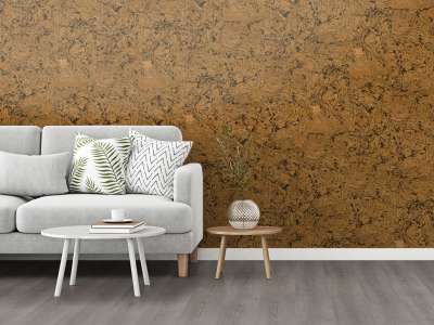 L4100280_3_1024x768px_tnbtjrNm