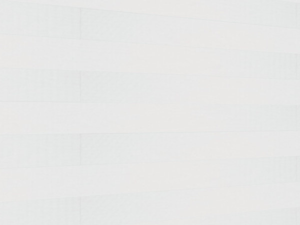 Paneele Terra DP 250 White mesh 20101