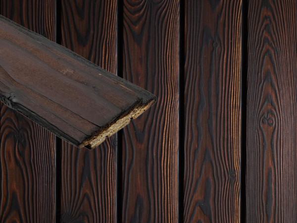 Fassadenprofil DRAGONwood europäische Lärche