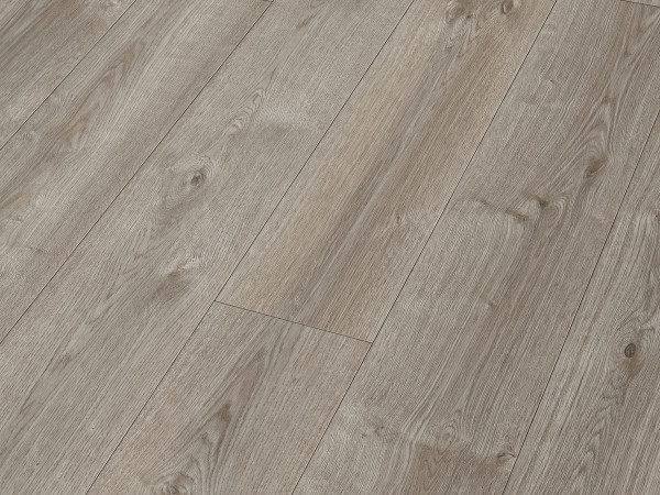 Designboden next DL 500 S Eiche Merino grau 7140 Landhausdiele