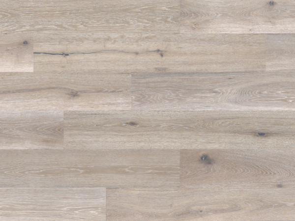 Korkboden Naturboden DESIGNTrend Eiche Seashell