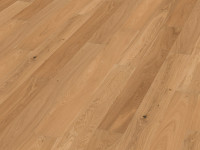 Vorschau:  Vorschau: