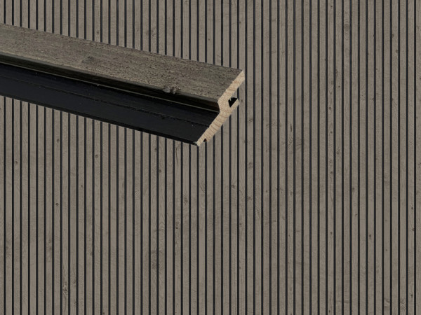 Fassadenprofil Verto Fichte