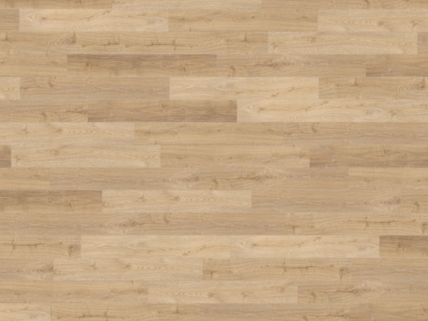 Korkboden Naturboden Wood Start Green Design Arabian Desert Oak