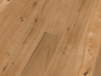 Vorschau:  Vorschau: