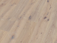 Vorschau:  Vorschau: