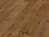 Vorschau:  Vorschau: