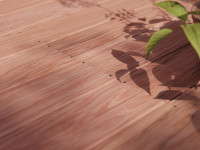 Vorschau: Terrassendiele Jatoba - Brasilianische Kirsche Vorschau: Terrassendiele Jatoba - Brasilianische Kirsche