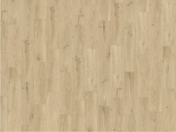 Korkboden Wood Go Dakota OAK Sand