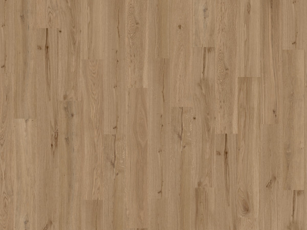 Korkboden Wood Go Dakota OAK