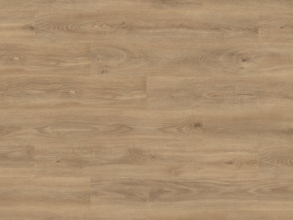 Laminat Loft Cashmere Oak 470