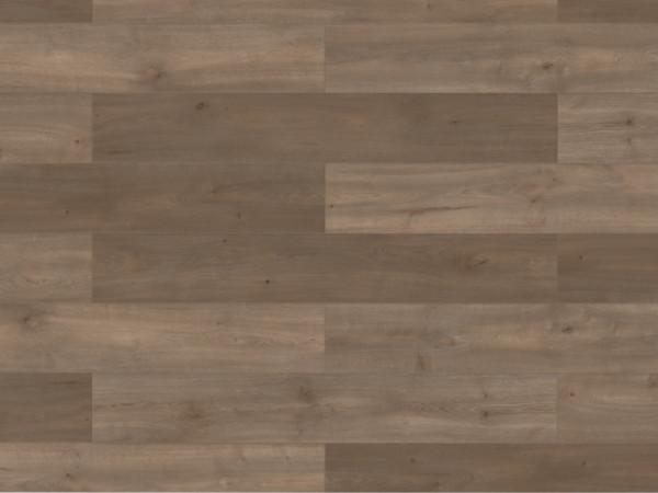 Laminat Lifestyle Trend Bellemont Oak grey brown Landhausdiele