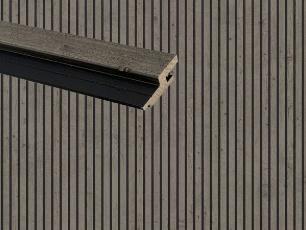 Fassadenprofil Verto Fichte