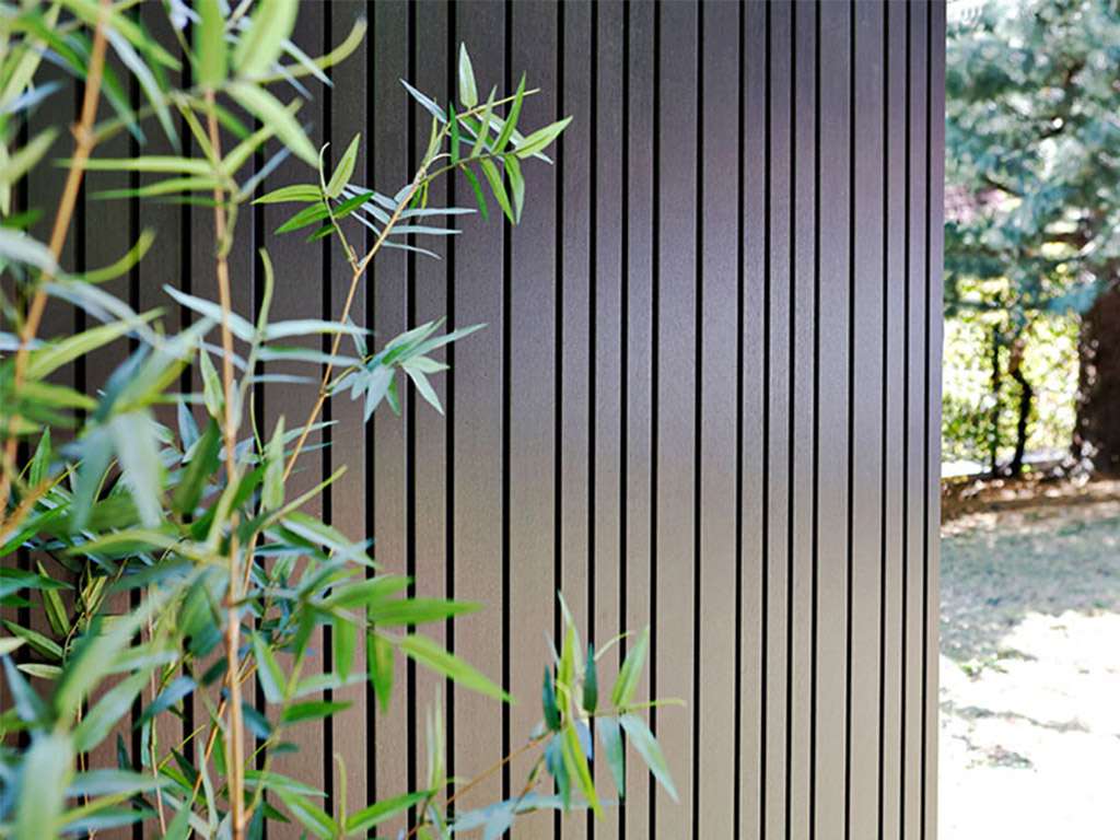 bambus in europa Bambus 'Aureosulcata Spectabilis' - Phyllostachys aureosulcata spectabilis main image 1