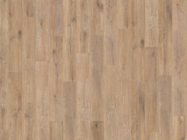 Korkboden Wood Go Farnia OAK Savannah
