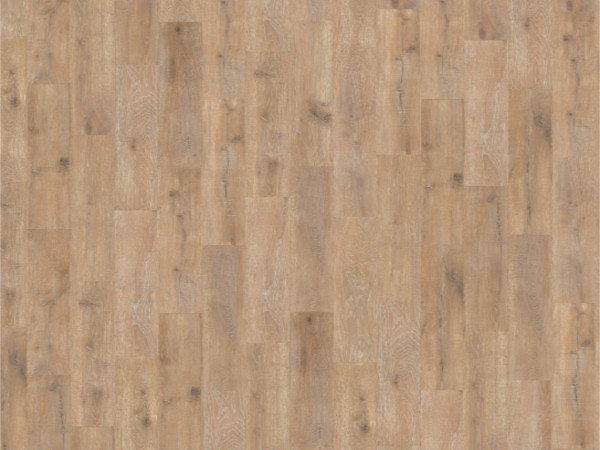 Korkboden Wood Go Farnia OAK Savannah