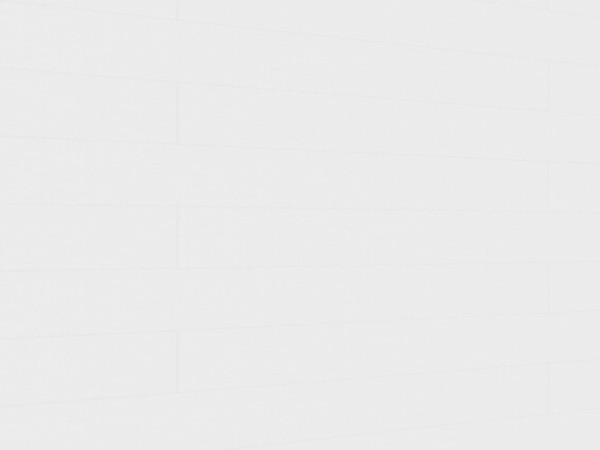 Paneele Terra DP 250 Polar white 20096