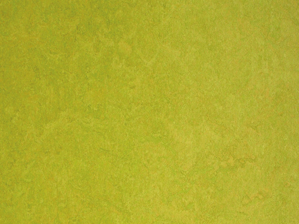 Linoleum Fertigboden Color Lime