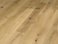 Vorschau:  Vorschau: