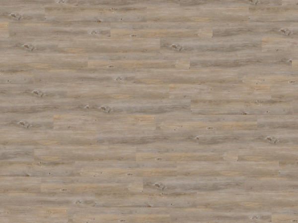 Korkboden Naturboden Wood Natural XL Alaska Oak