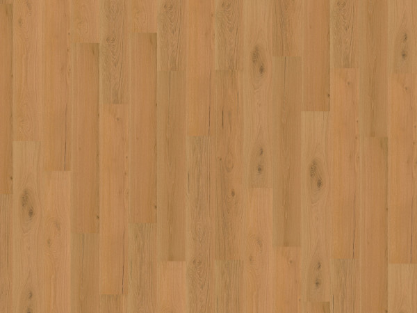 Korkboden Wood Go Napa OAK
