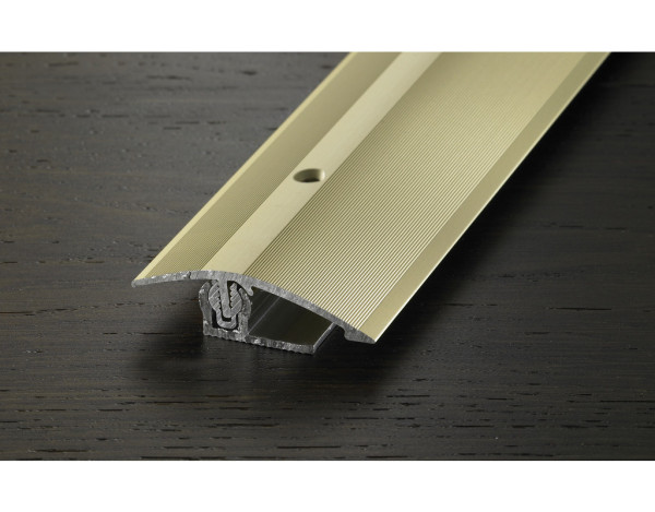 Anpassungsprofil PROVARIO Universal Aluminium eloxiert Champagne