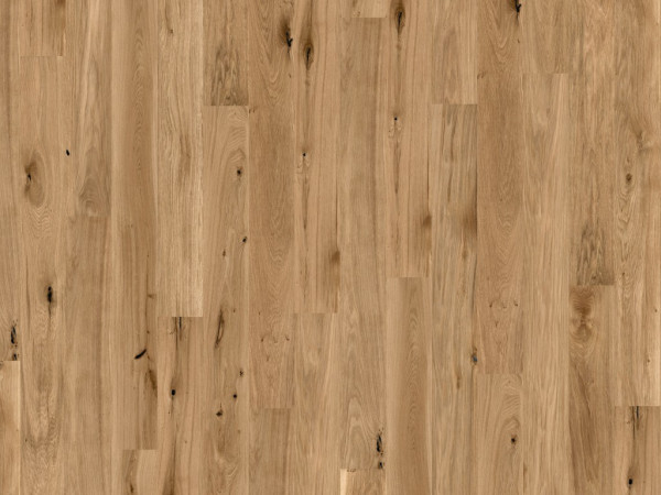 Korkboden Wood Natural XL Panama Oak Cognac Landhausdiele