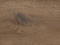 Vorschau:  Vorschau: