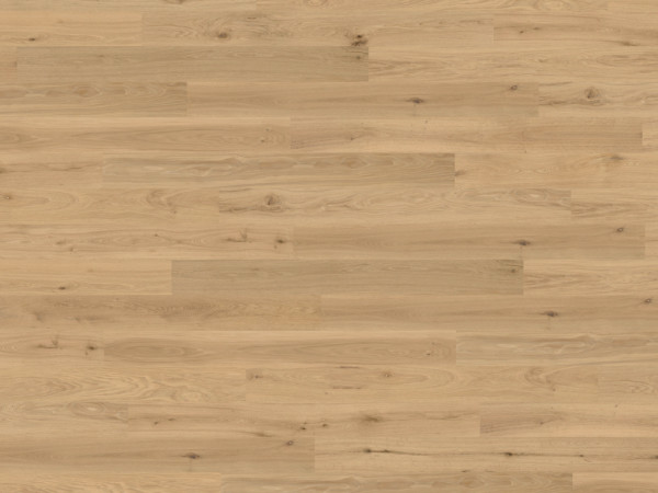 Korkboden Naturboden Wood Start Green Design Natural Oak Almond