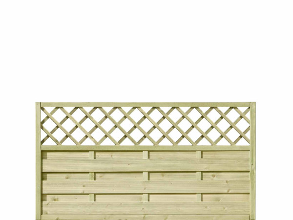 Dichtzaun Mailand Kiefer grün