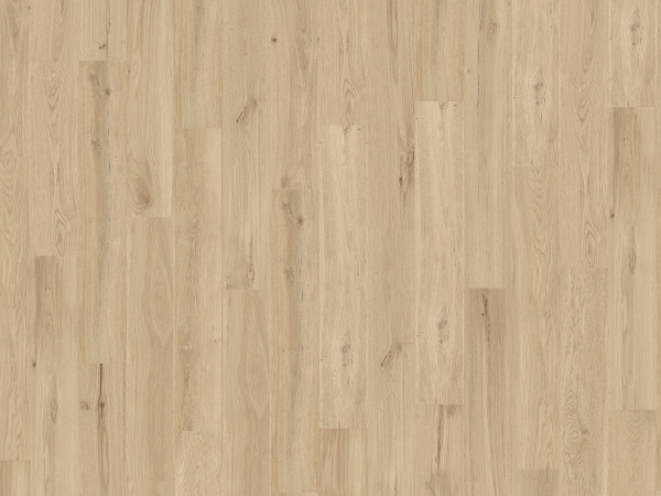 Korkboden Wood Go Dakota OAK Sand