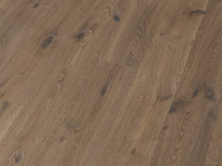 Vorschau:  Vorschau: