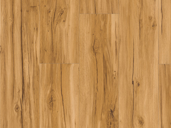 Vinylboden Basic 4.3 Eiche Memory Natur
