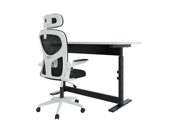 Schreibtisch- & Bürostuhlset Scriber